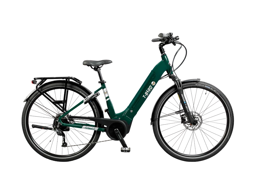 T-BIRD CARMEL S - Monvelo.com 3 T-BIRD CARMEL S - Monvelo.com