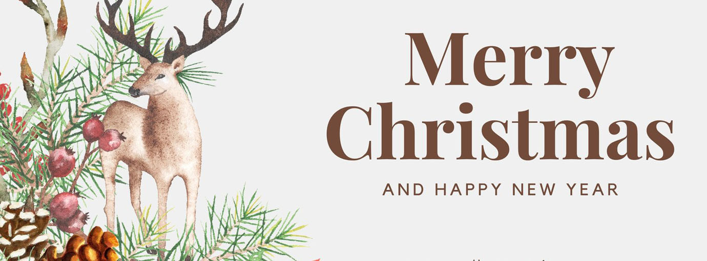 Vélos Soldes -Vélos Soldes 158